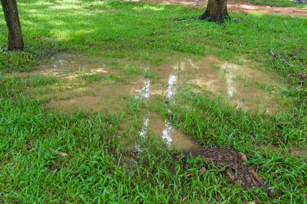 Storm Water Drainage Service in Bay City