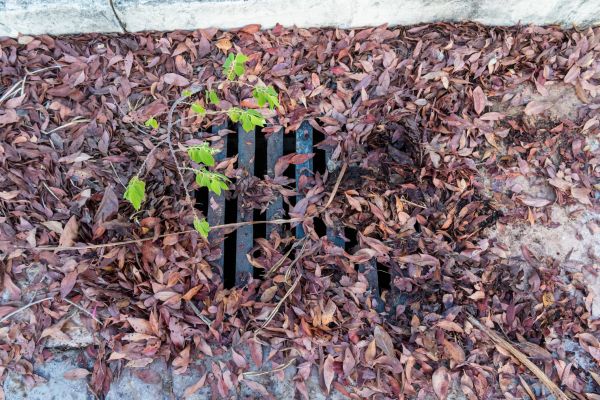 Yard Drain Unclogging in Bay City