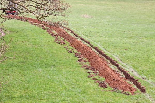 Cost of Swale Installation in Bay City