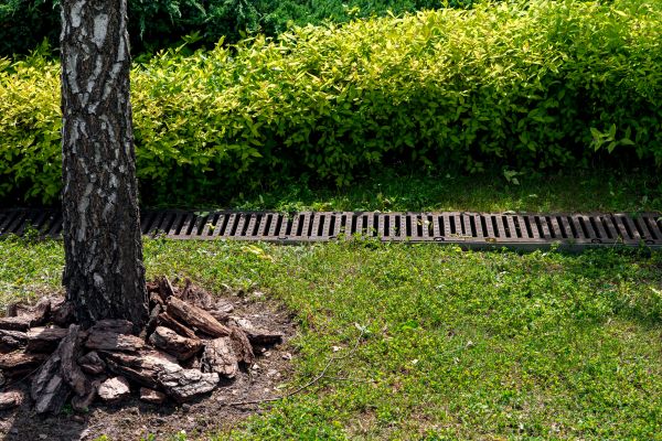 Garden Drainage Installation in Bay City