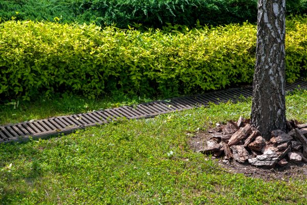 Residential Landscape Drainage in Bay City