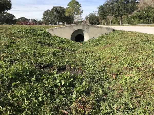 Cost of Swale Drainage Service in Bay City